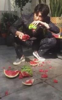 顺平某乐园吃瓜事件视频,一场引发热议的美食风波