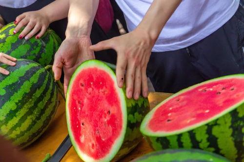西瓜兄弟吃瓜视频,揭秘夏日消暑新潮流