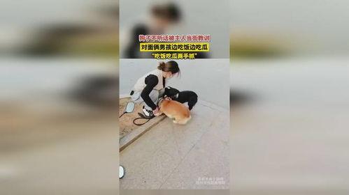 狗子吃瓜被抓现场视频,萌态百出引网友热议