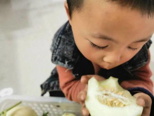 爱你不如吃瓜视频,揭秘网络热传视频背后的故事