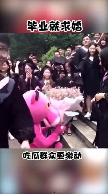 吃瓜群众求婚搞笑视频,一场“瓜田”里的甜蜜闹剧