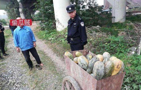 新沂王庄吃瓜事件视频曝光,视频曝光引发社会热议
