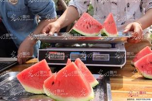 兰州恶心吃瓜事件视频,一场网络争议引发的道德漩涡