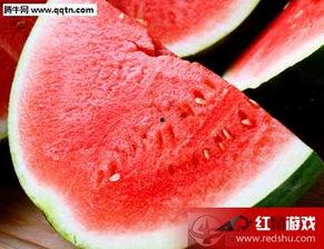 冰冻西瓜吃瓜视频大全集