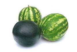 盘锦吃瓜事件视频,一场网络热议的瓜田奇遇