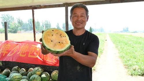 青州最新吃瓜新闻视频,揭秘神秘事件背后的真相