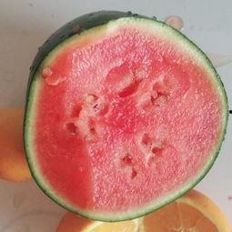 521吃瓜视频,一场网络狂欢背后的真相