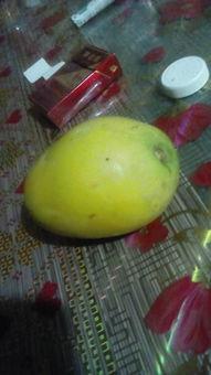 空气清新吃瓜视频,一起享受吃瓜时光