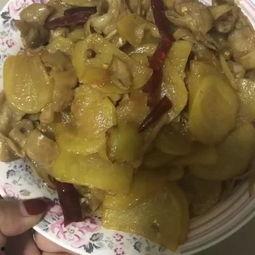 附子瓜怎么吃美食视频,视频教你轻松烹饪特色佳肴