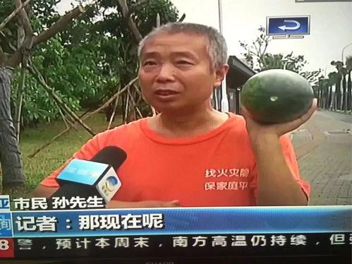 新郑安踏吃瓜事件视频,一场校园风波的真相揭秘