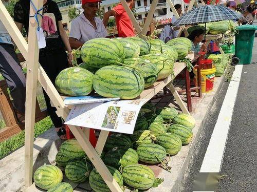 山东梁山吃瓜视频,揭秘山东梁山特色美食文化