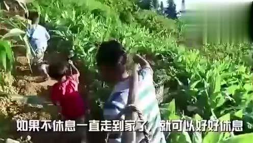 云木吃瓜视频