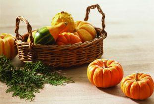 瓜的籽发芽了可以吃吗视频,揭秘发芽瓜籽的秘密