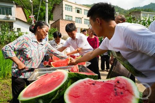 吃瓜热闹视频大全,笑料百出，精彩纷呈