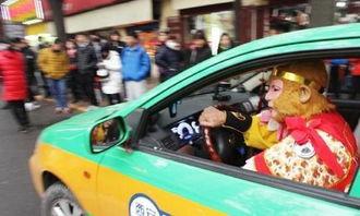 吃瓜猴哥开车视频,趣味横生一幕再现