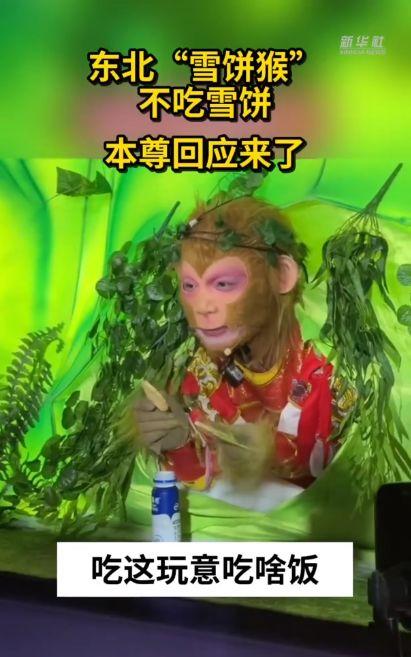 猴王吃瓜配音视频播放,趣味横生的视听盛宴