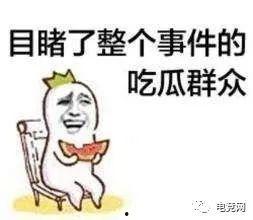 吃瓜群众吃鸡视频,揭秘热门吃鸡视频背后的趣味与激情