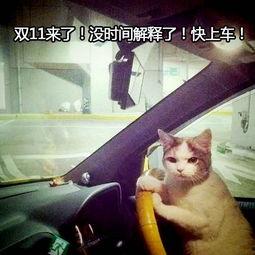 吃瓜群众捡便宜视频,揭秘那些让人惊喜的捡便宜视频