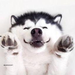 搞怪吃瓜群众视频大全最新,欢乐无限