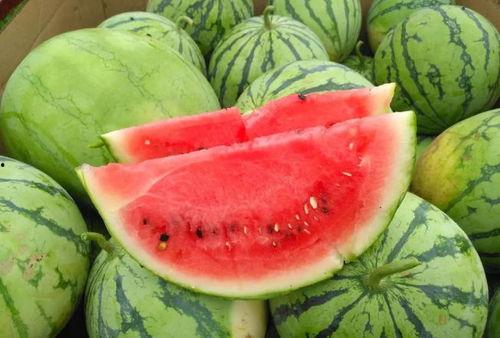 翠果吃瓜的视频,揭秘网红美食背后的故事