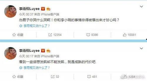 考研吃瓜完整视频,揭秘考研生活那些事儿