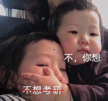 考研吃瓜完整视频,揭秘考研生活那些事儿