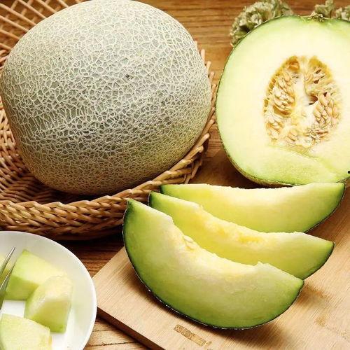 漫吃 蜜瓜视频,甜蜜滋味，视觉盛宴