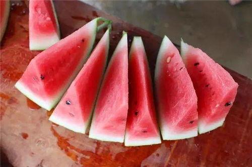 吃不起麒麟瓜怎么办视频,轻松应对麒麟瓜吃不起的困境