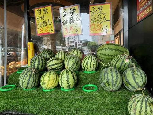 吃不起麒麟瓜怎么办视频,轻松应对麒麟瓜吃不起的困境