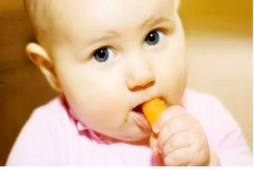 小宝贝吃小白瓜视频大全,小宝贝品尝小白瓜视频集锦