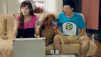 吃瓜搞笑萌妹视频,萌妹带你领略搞笑视频的魅力