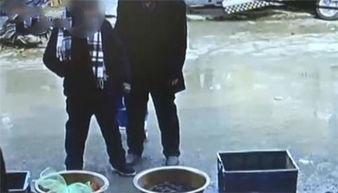 老太太吃瓜篓子视频,老太太的悠闲生活剪影