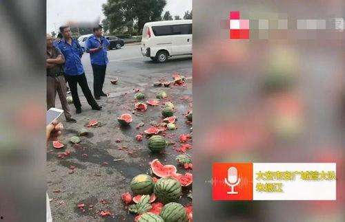 石家庄疫情吃瓜事件视频,一场网络热议的真相追踪