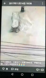 吃瓜掉下水道怎么办视频