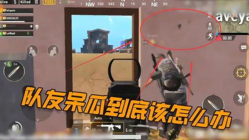 吃鸡司马呆瓜视频