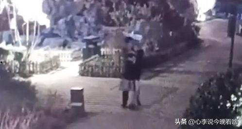 吹牛吃瓜视频完整版,一场视频盛宴的幕后故事