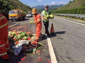 丽水吃瓜群众视频,揭秘当地独特美食文化