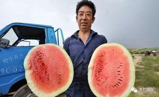 推特上中国吃瓜视频,揭秘网络热点的幕后故事