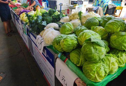 摆摊吃瓜视频,摆摊吃瓜，揭秘市井百态