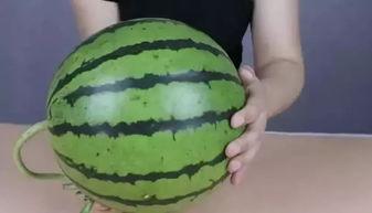 吃瓜吐皮的视频素材,揭秘热门视频背后的趣味与真相