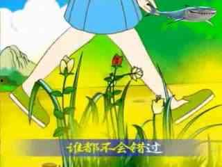 八戒在瓜地里吃西瓜的视频