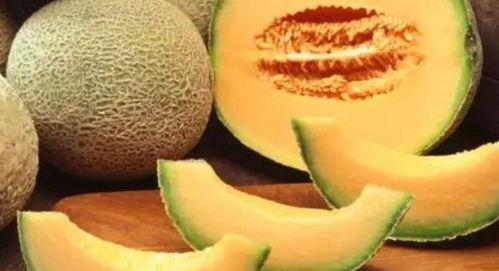 熊孩子吃哈密瓜视频,哈密瓜美食之旅