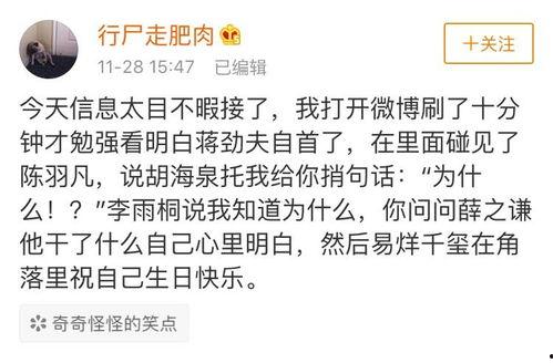 蛋仔吃瓜日记在线观看视频,揭秘瓜界奇闻异事