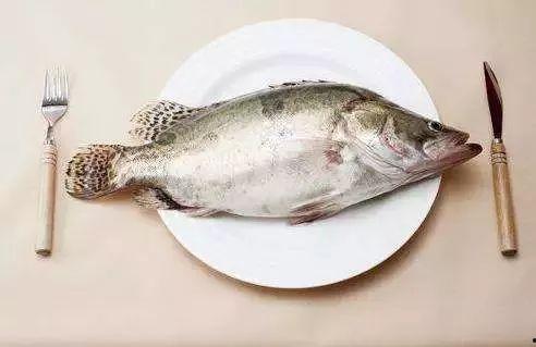 烂瓜喂鱼鱼可以吃吗视频,揭秘鱼儿能否消化不新鲜食物