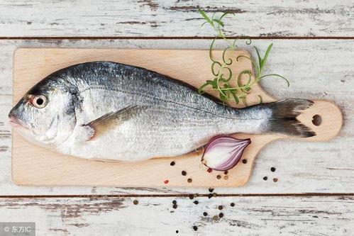 烂瓜喂鱼鱼可以吃吗视频,揭秘鱼儿能否消化不新鲜食物