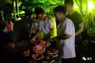 云南结婚吃瓜事件真相视频,真相揭秘，还原事件始末