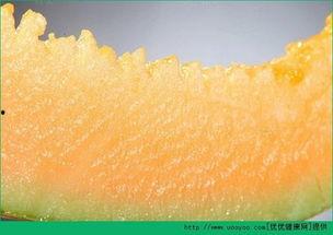 吃哈密瓜要打皮吗视频,哈密瓜去不去皮？揭秘吃哈密瓜的正确方法