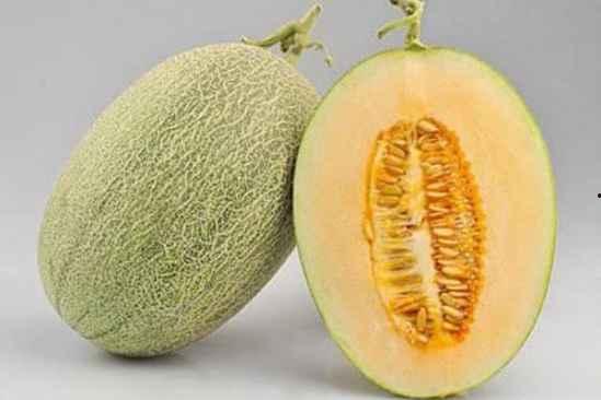 叔叔吃哈密瓜视频大全在线观看