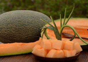 古代人吃哈密瓜视频大全,揭秘古代人享用哈密瓜的绝妙瞬间