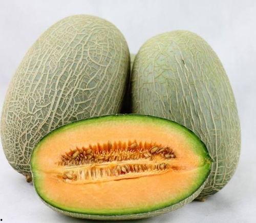 古代人吃哈密瓜视频大全,揭秘古代人享用哈密瓜的绝妙瞬间